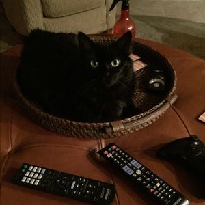 Meet your Posher, Anne